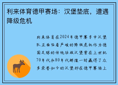利来体育德甲赛场：汉堡垫底，遭遇降级危机